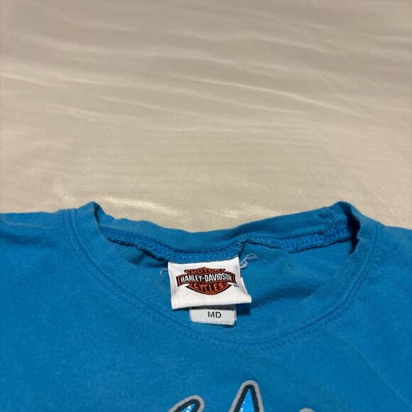 Harley Davidson Fairbanks Alaska - Picture 3 of 6